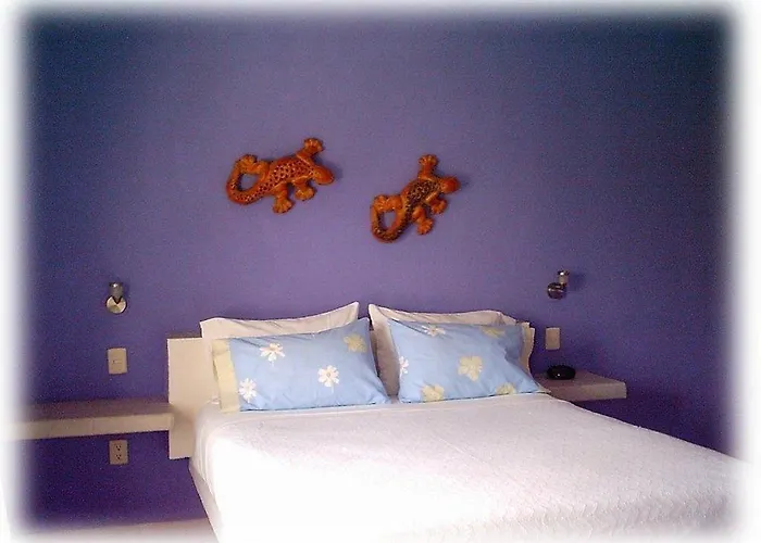 Coral Reef * Cozumel